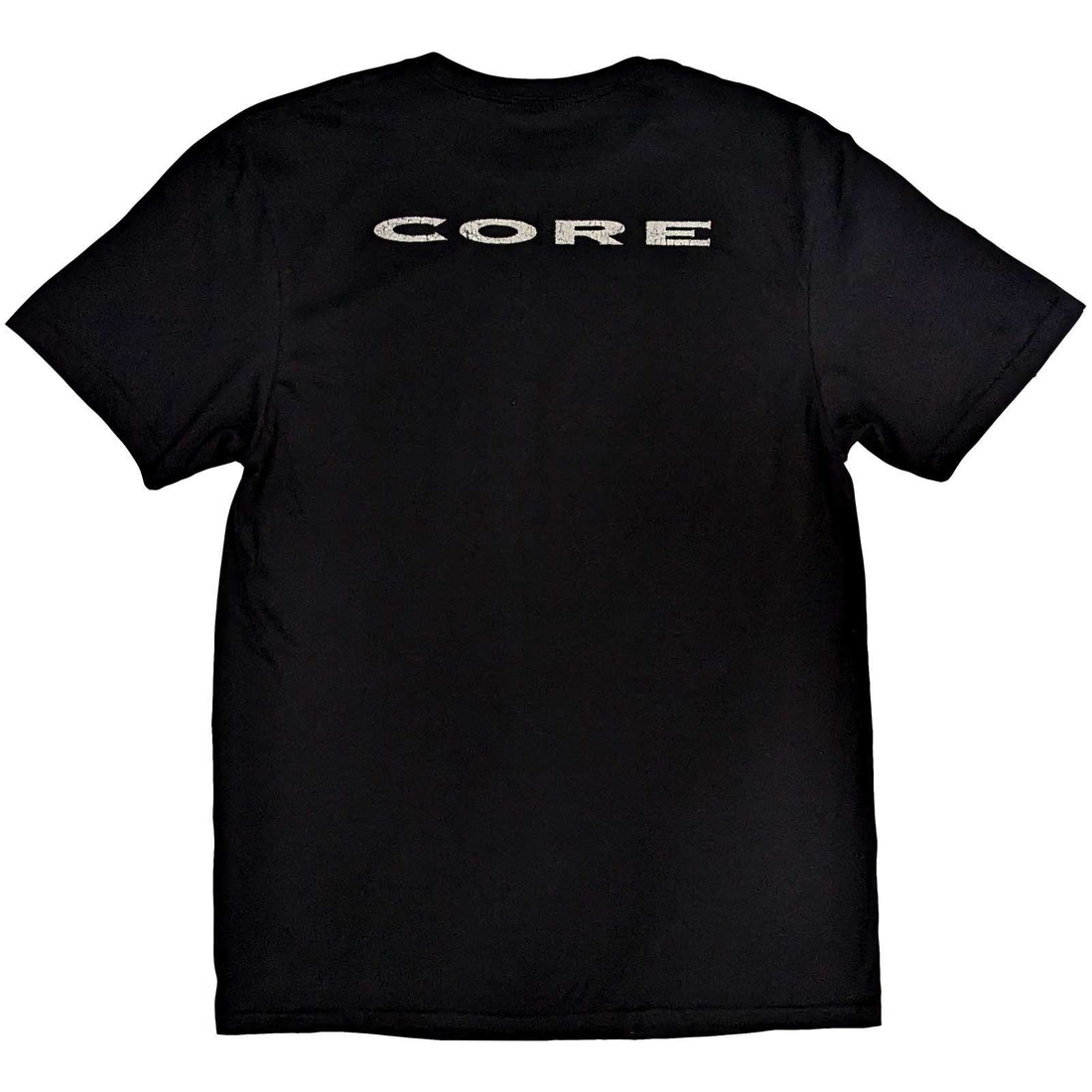 Stone Temple Pilots Unisex T-Shirt: Core (Back Print)